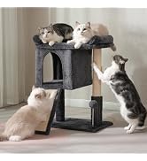 Pawfessor Small Cat Tree Tower for Adult Cats with Large Top Bed 20x13.8â??Private Cat Condo,Sisal ...