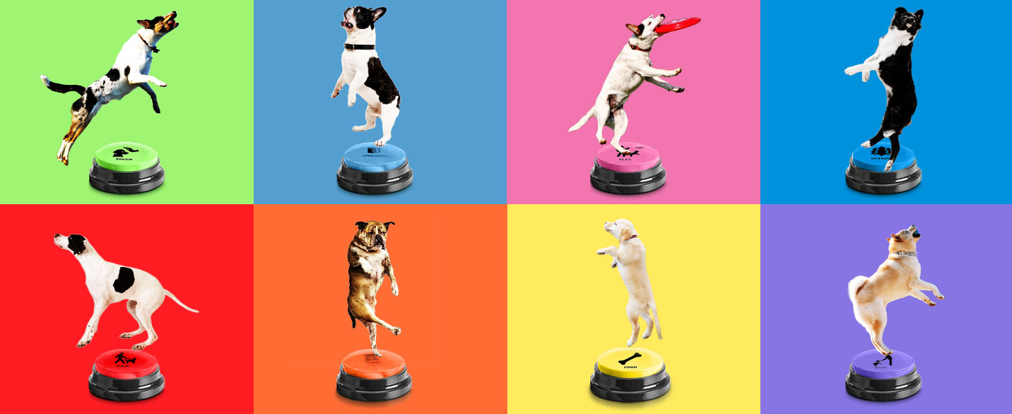 Dog speaking buttons