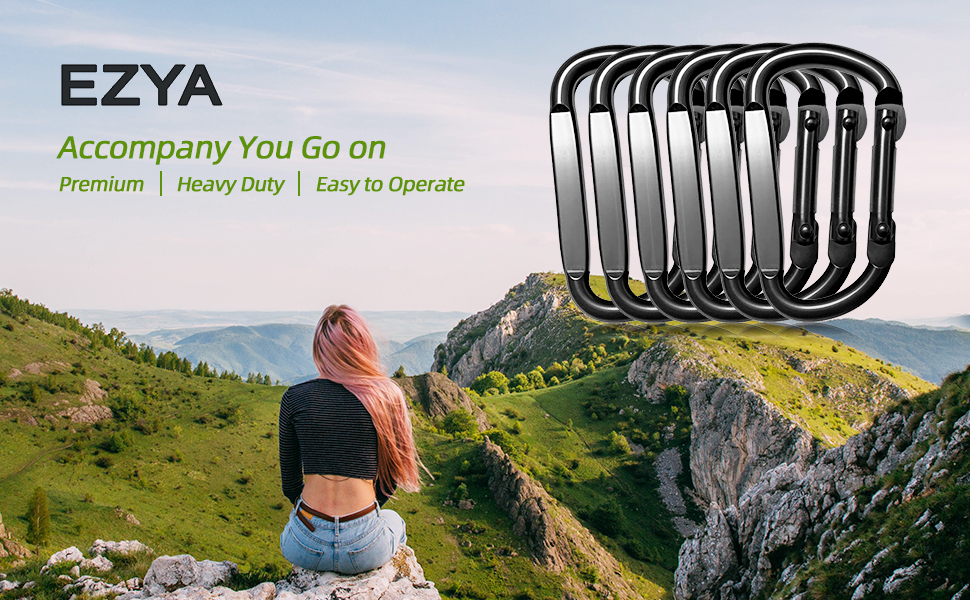 small carabiner