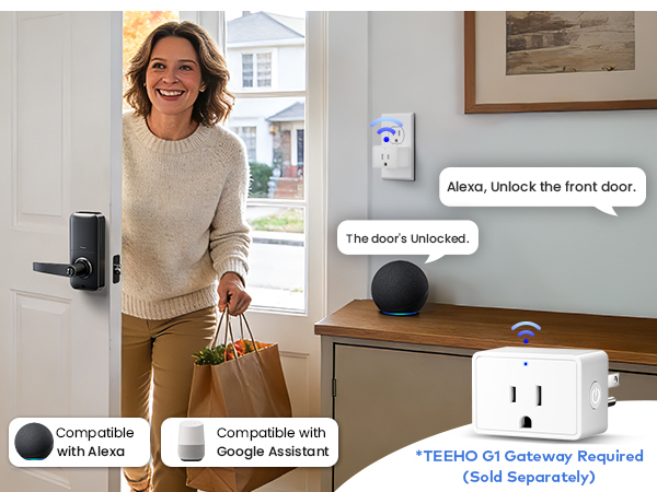Voice control requires TEEHO G1 gateway