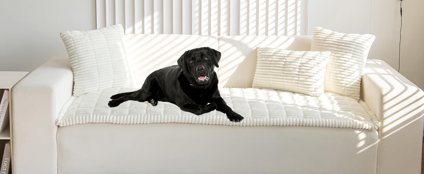 Cream Couch Cover