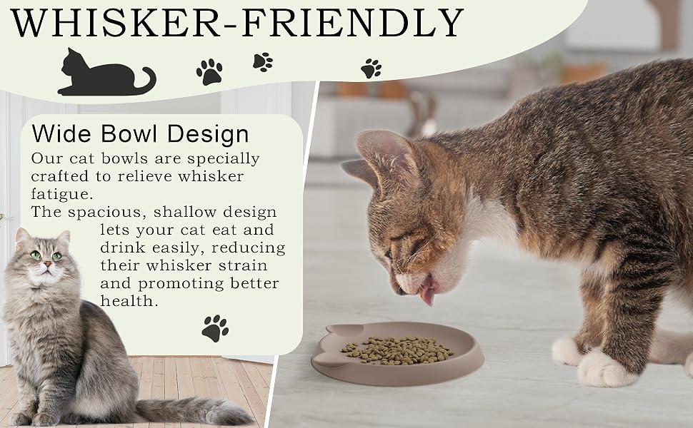 cat bowls