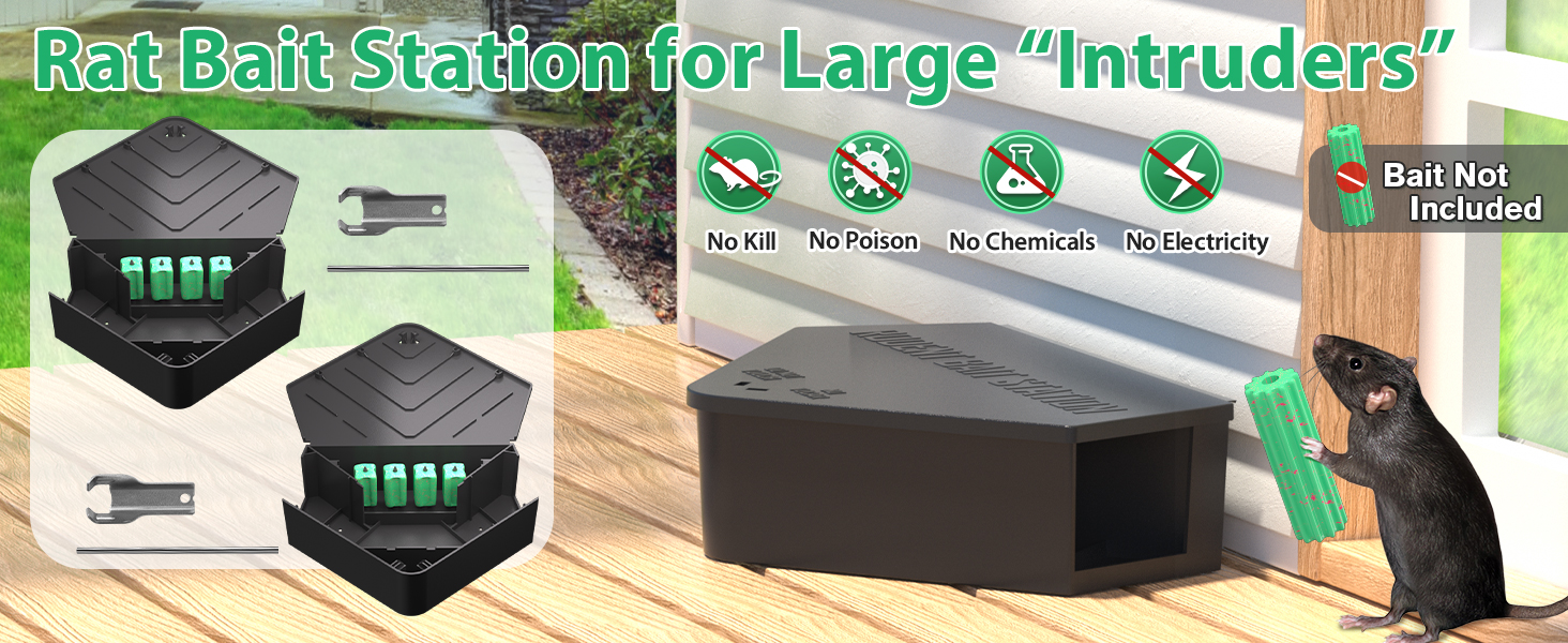 Rat Station Box