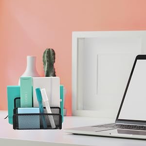 file organizer