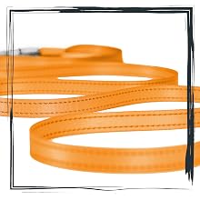 Leash Dog