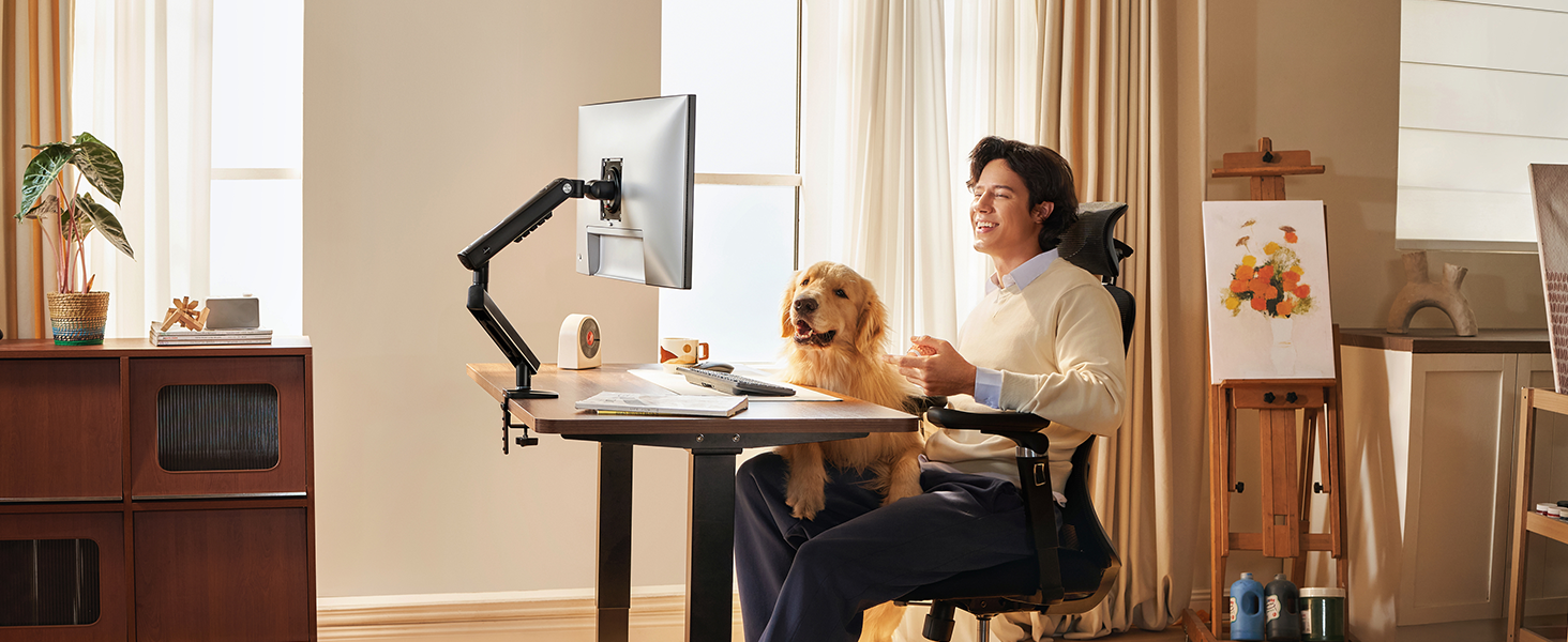 single monitor stand