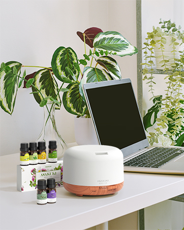 oil diffuser with essential oils for aromatherapy beginner