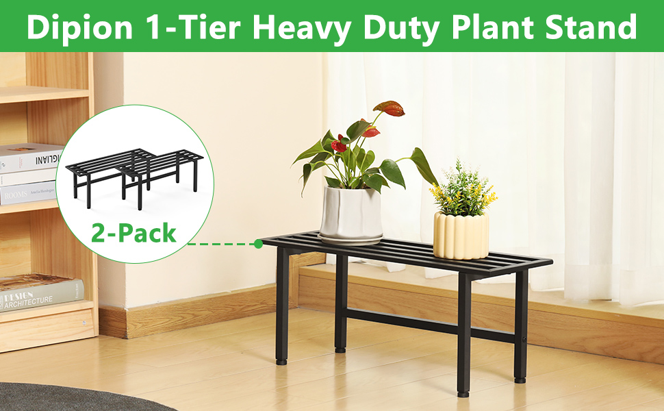 Dipion 2 pack plant stand,1 tier