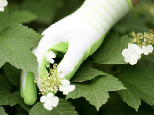 gardening gloves