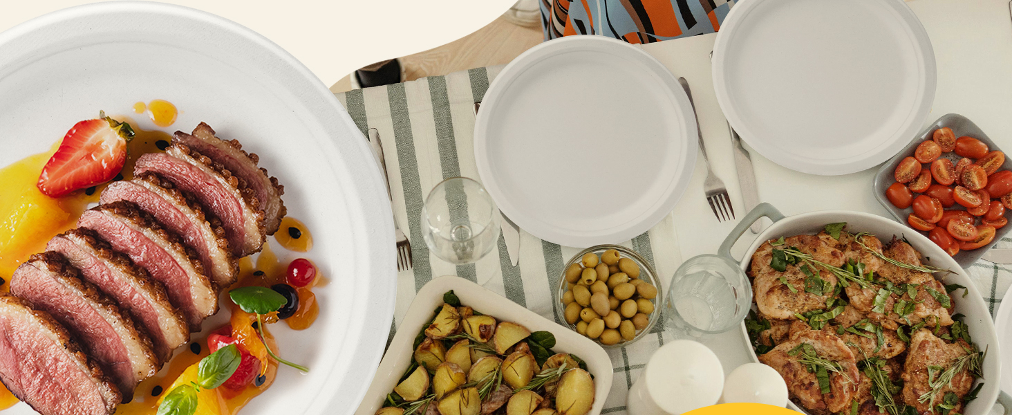 RACETOP disposable paper plates