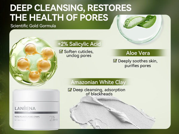lanbena nose pore strips 2.0