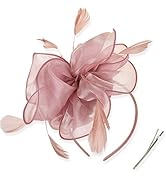 DRESHOW Fascinators Hat Tea Party Headwear Ribbons Feathers on a Headband and a Clip for Women