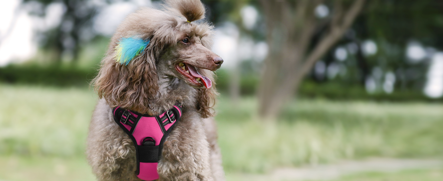 dog harness no pull