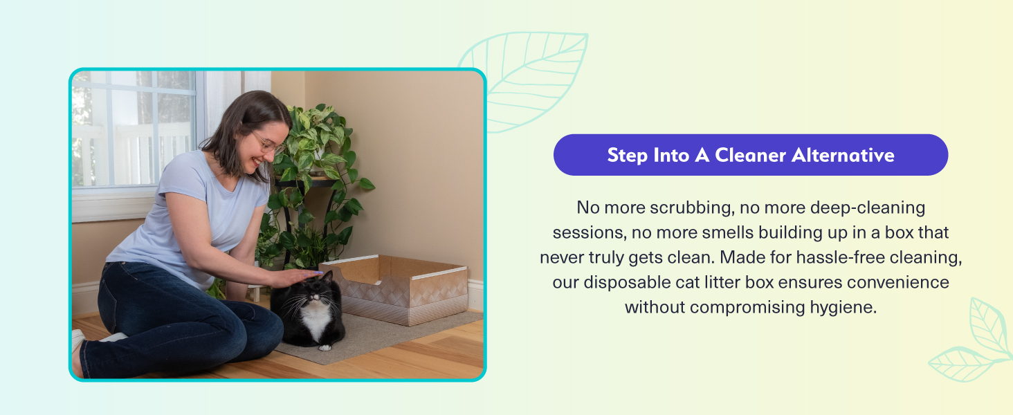 cat litter disposable box leak-proof silica crystal clumping odor control low dust natural plant