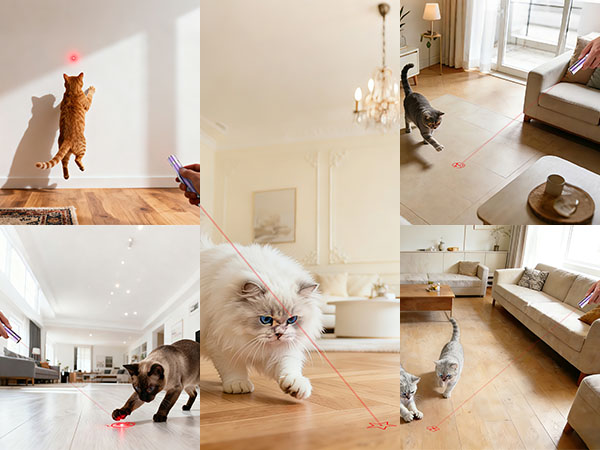 cat toy for indoor cat