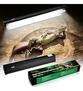 UVB Light for Reptiles Bearded Dragon, T8 UVB Reptile Light Fixture HO UVB Bulb Lighting Combo Ki...