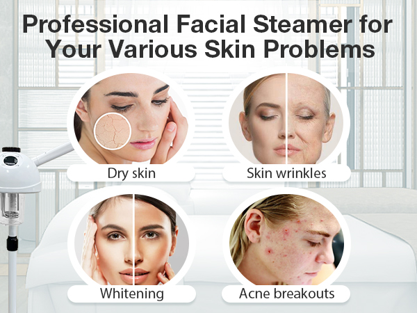 Facial Steamer