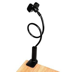 cell phone mount