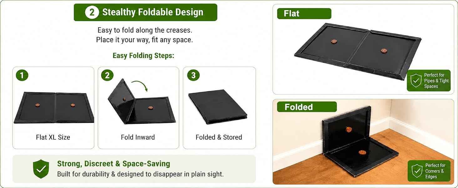 Apply Fold if Needed