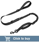 Forestpaw Tactical Dog Leash