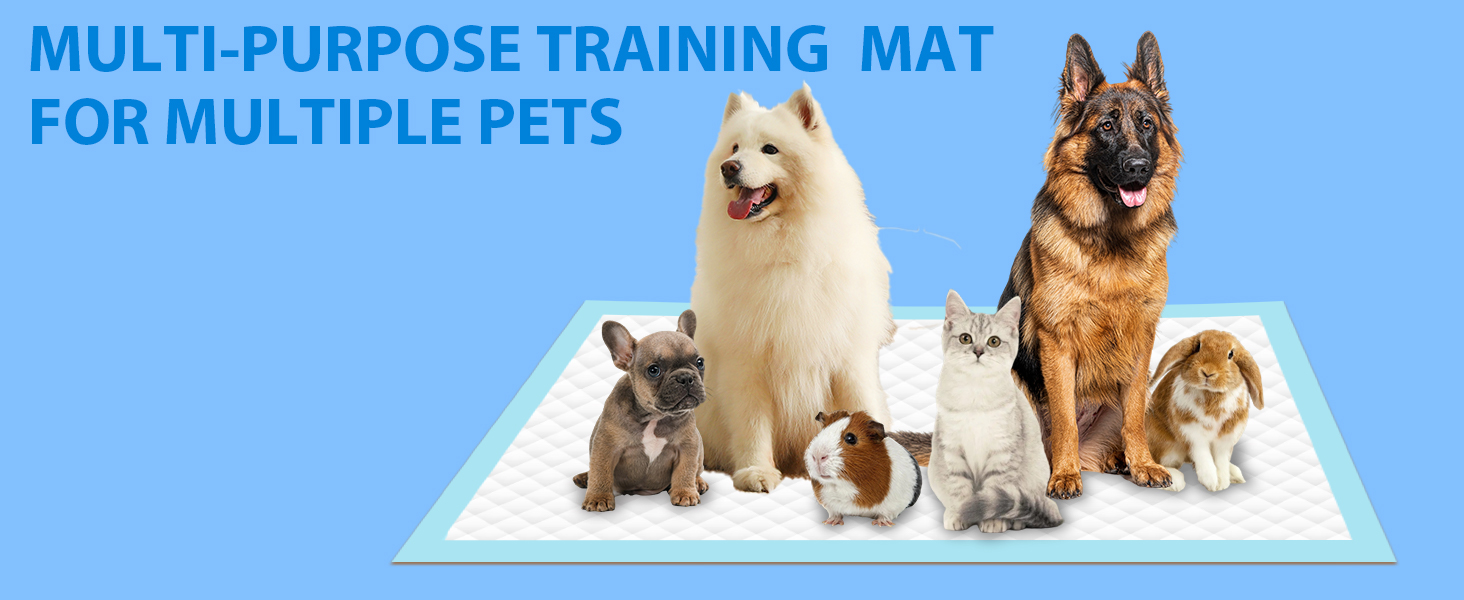 Multi-Purpose Training Mat For Multiple Pets
