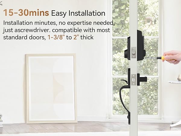 exterior door lock set