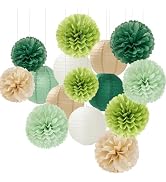 Sage Green-Boho Party-Decorations Paper Flowers Lanterns - 15PCS Birthday Gender Neutral Baby Sho...