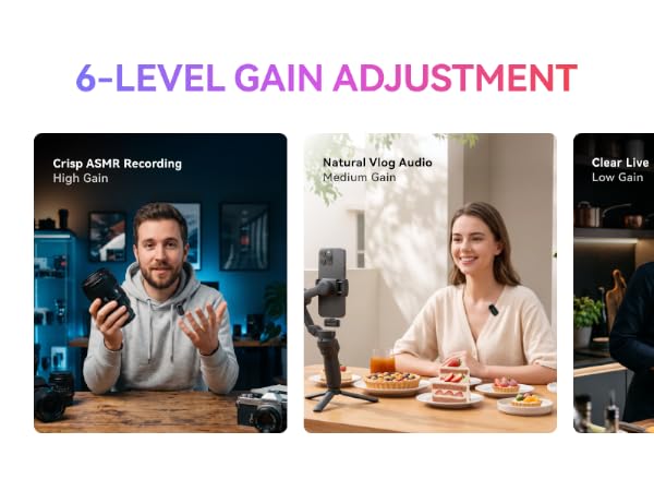 lark a2