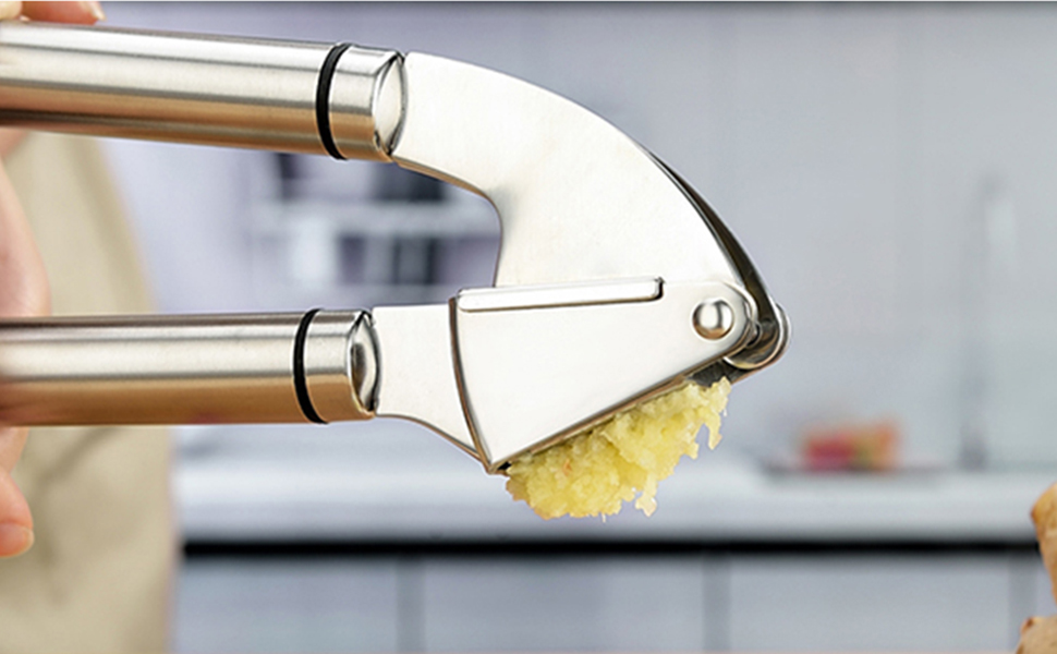garlic mincer tool