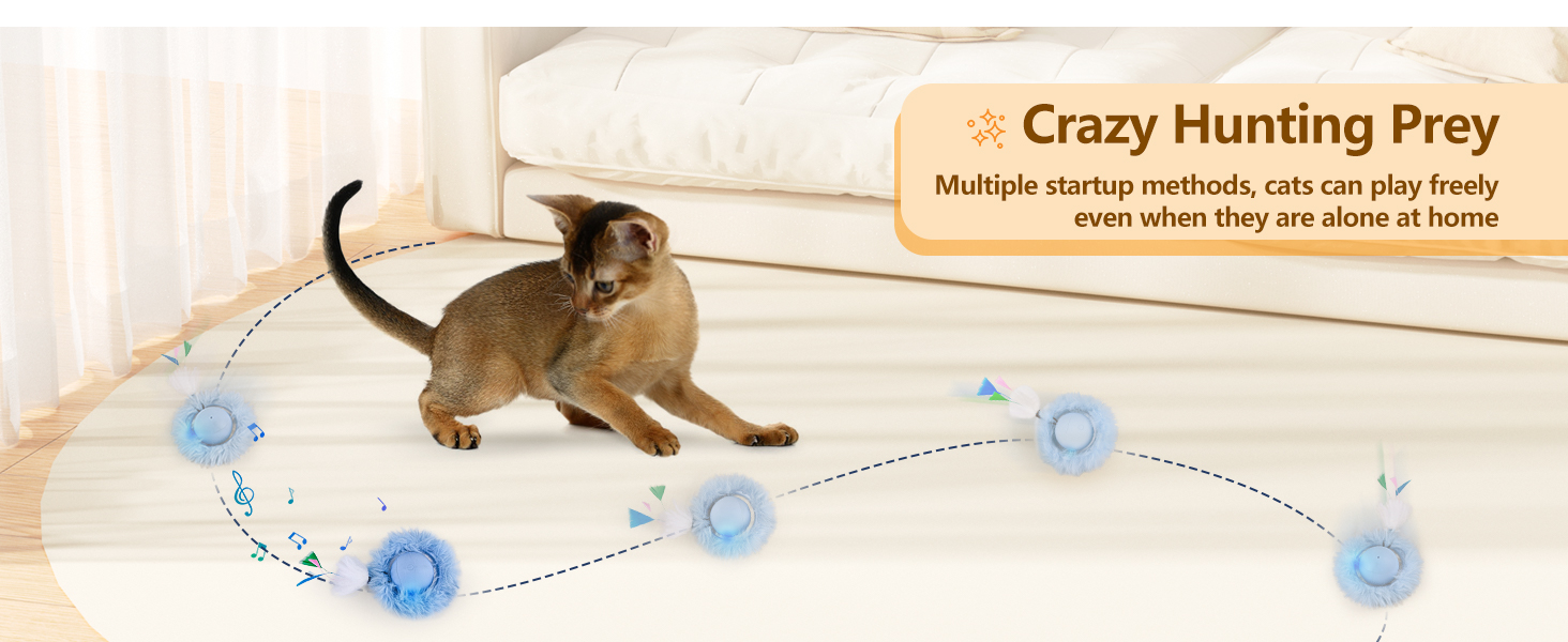 kitten Toy