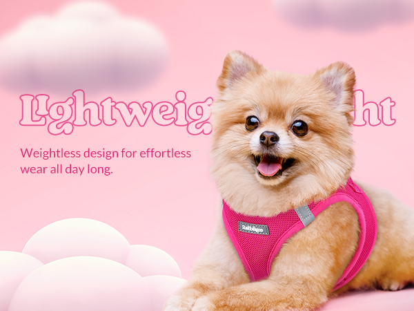 lightweight dog harness