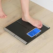 scale