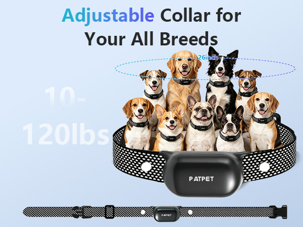 Dog Training Collar with Remote