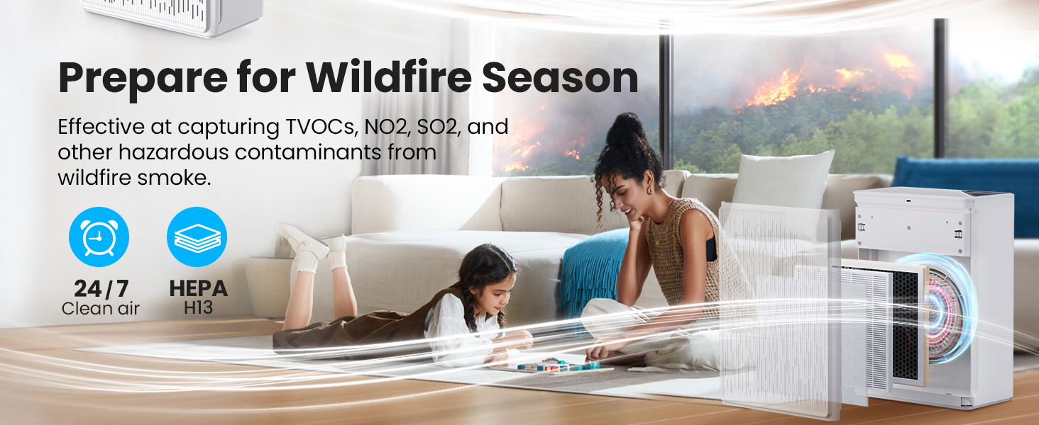 air purifier for wildfire