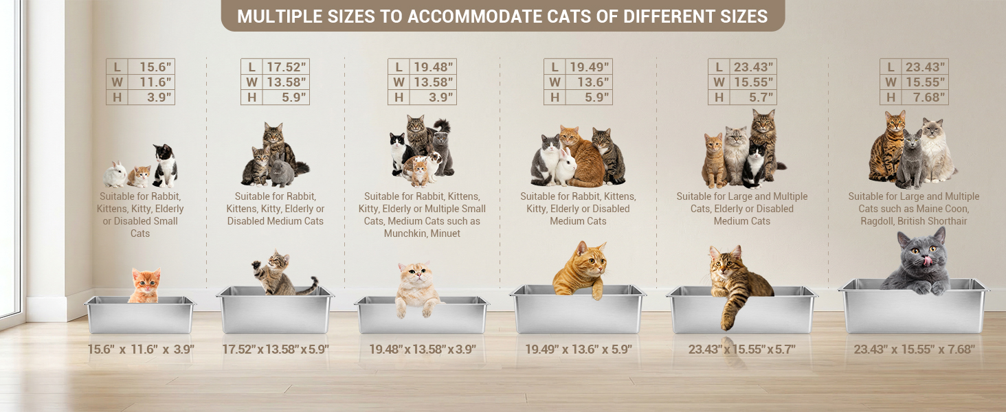litter box