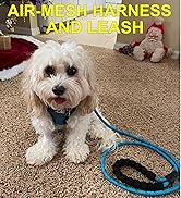 matilor Dog Harness Step-in Breathable Puppy Cat Dog Vest Harnesses for Small Medium Dogs