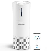 Air Purifier and Humidifier