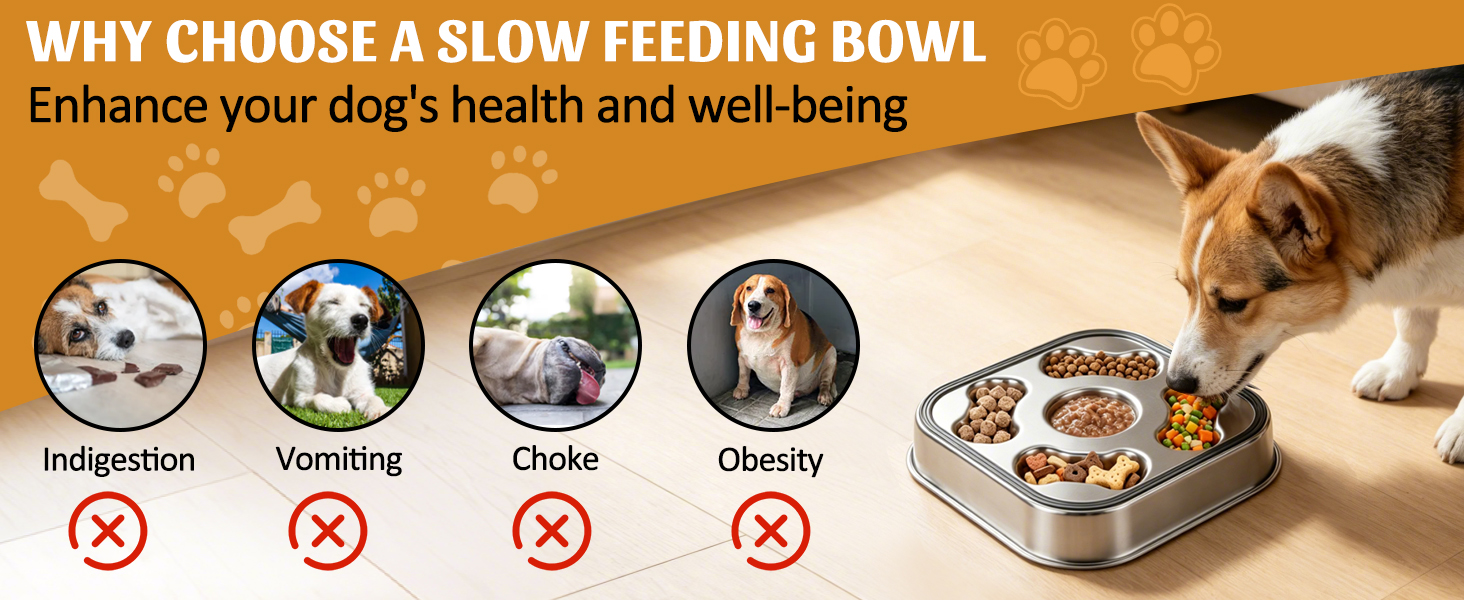 slow feeder dog bowls