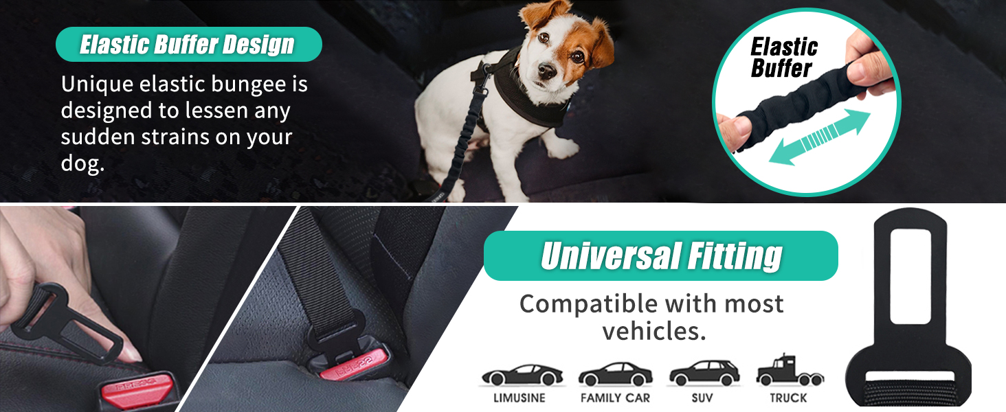 dog seat belt