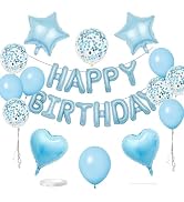 WEIKA 27 Pcs Light Blue Birthday Decorations, 3D Letters Light Blue Happy Birthday Balloon Banner...