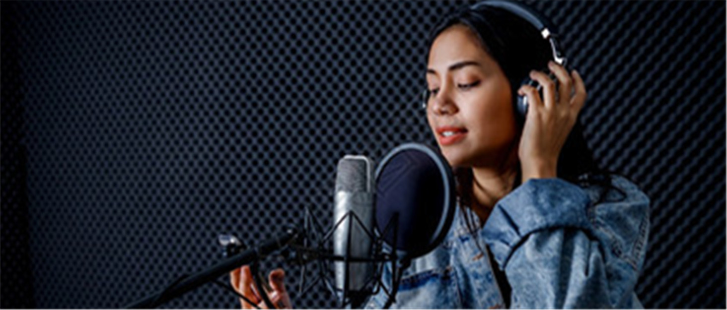 Provide professional sound-absorbing environment for musicians and audio producers
