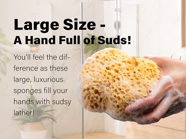 BPPC024-036 Foam Sea Sponge Square
