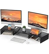 LORYERGO Dual Monitor Stand for 2 monitors, Monitor Stand for Desk, Monitor Riser with Storage, C...