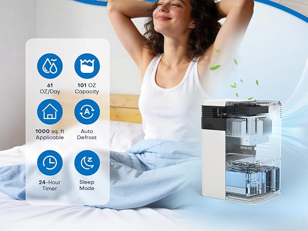 Dehumidifier