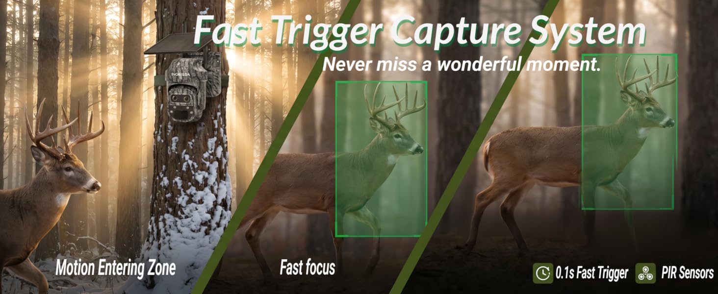 spy point cellular trail camera mini? trail camera bushnell ?trail camera reveal? trail camera
