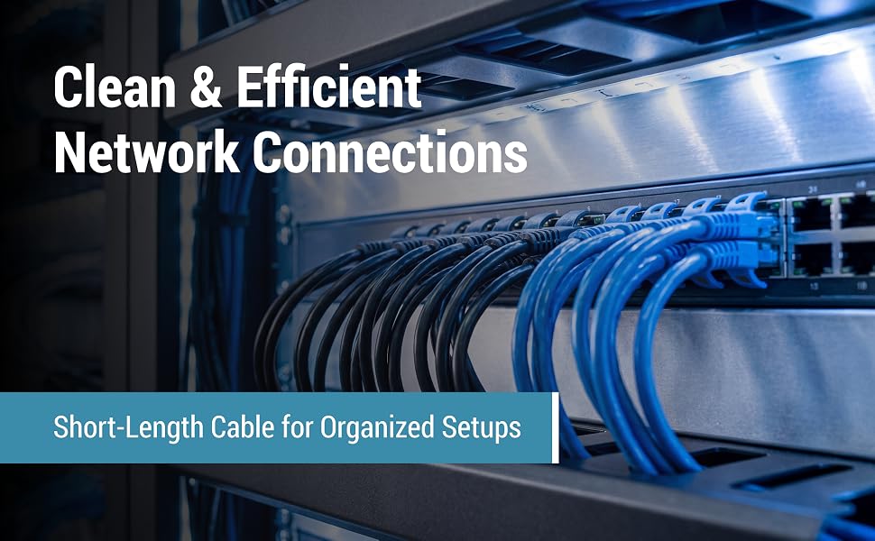 Blue and black Ethernet patch cables organized inside a server rack.