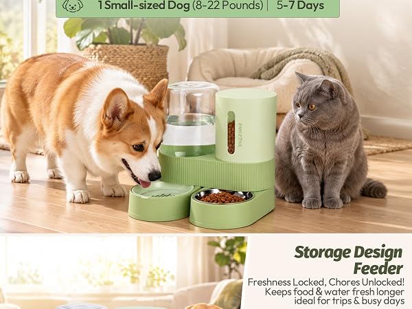 automatic cat feeder and water dispenser