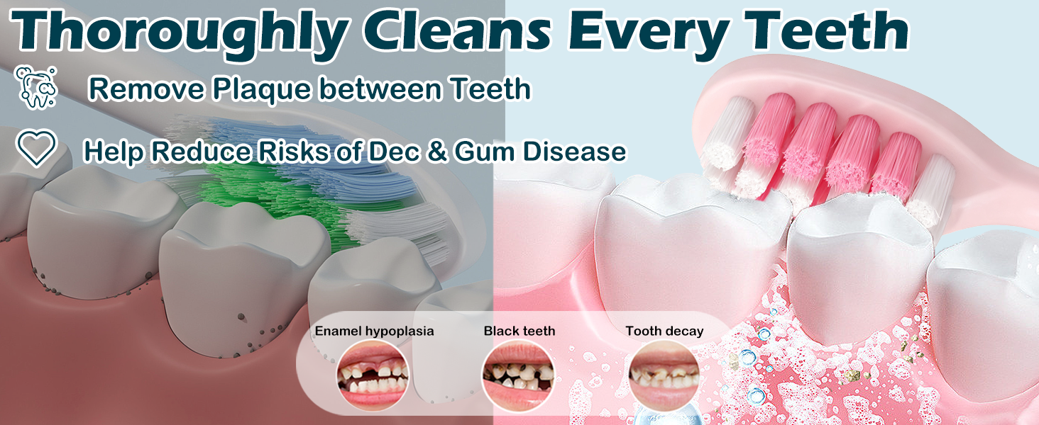 Text reads 'Thoroughly Cleans Every Teeth' 'Help Reduce Risk of Tooth & Gum Disease'. Dental hygiene illustration showing tooth cleaning process with pink gums.