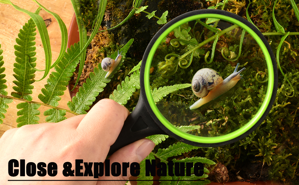 magnifier