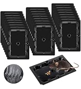 Qualirey 24 Pack Mouse and Insect Glue Traps, Strong Sticky Mice Traps Indoor for Home, Pre Scent...